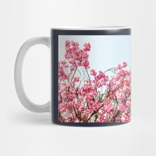 Pink Cherry Blossom Flowers Mug